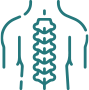 Back / Spine