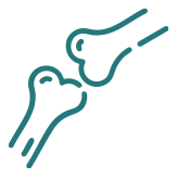 Bone Health Screening
